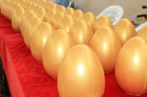 現(xiàn)代日用百貨城全新亮相，浙江食品市場(chǎng)再添消費(fèi)新地標(biāo)