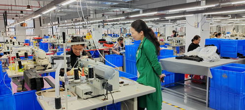 藍山委員提案助推產業大發展，央廣網聚焦社會經濟咨詢服務